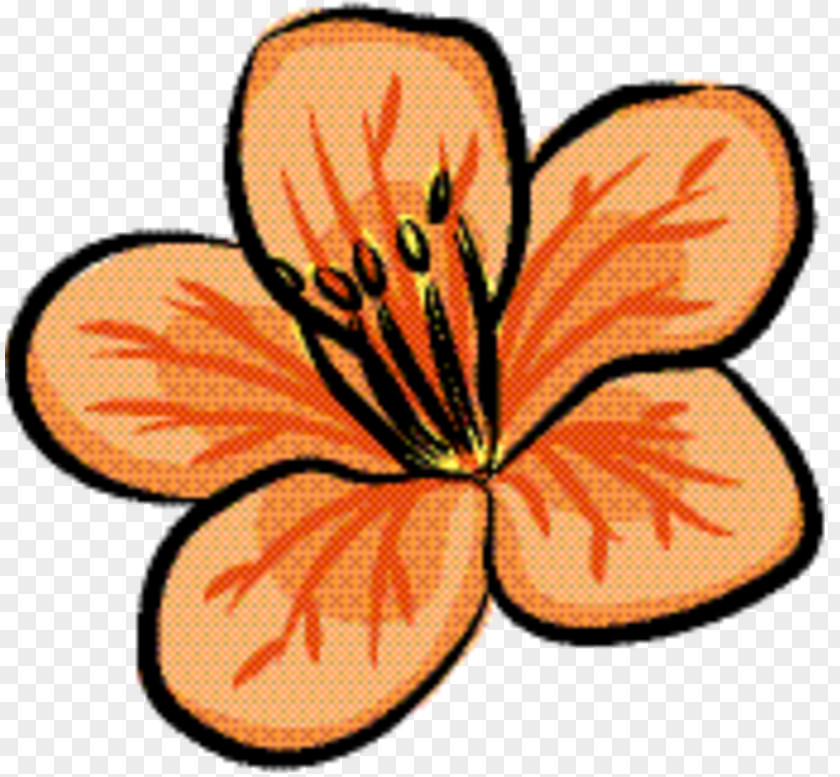 Plant Flower Flowers Background PNG