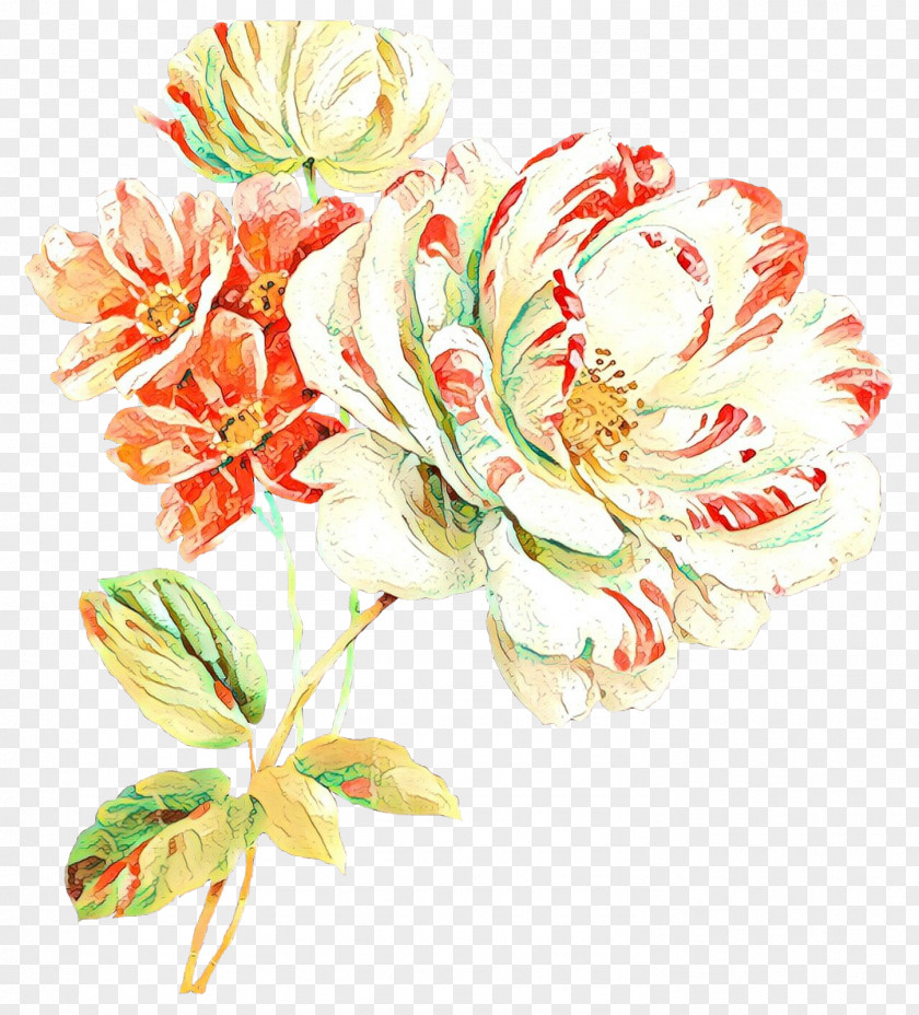 Floral Design Garden Roses Cut Flowers Cabbage Rose PNG