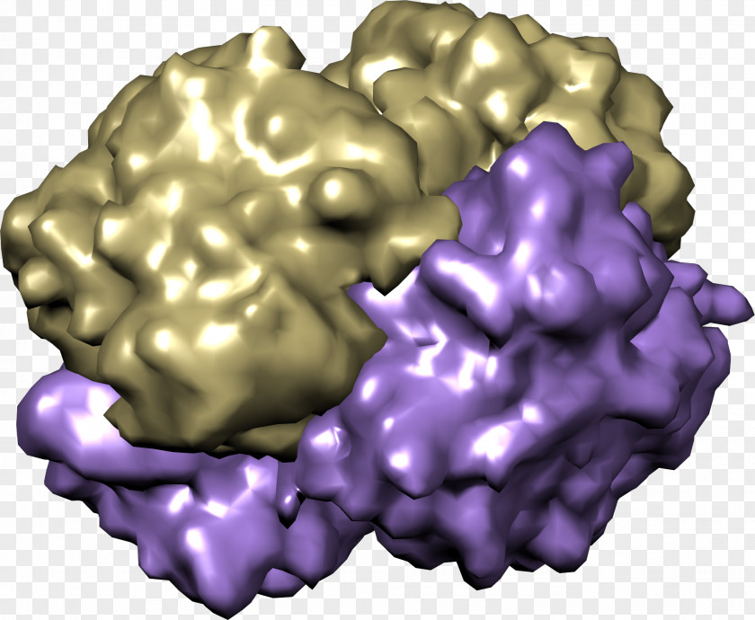 Hemoglobin Organism Chemist Oxygen Purple PNG