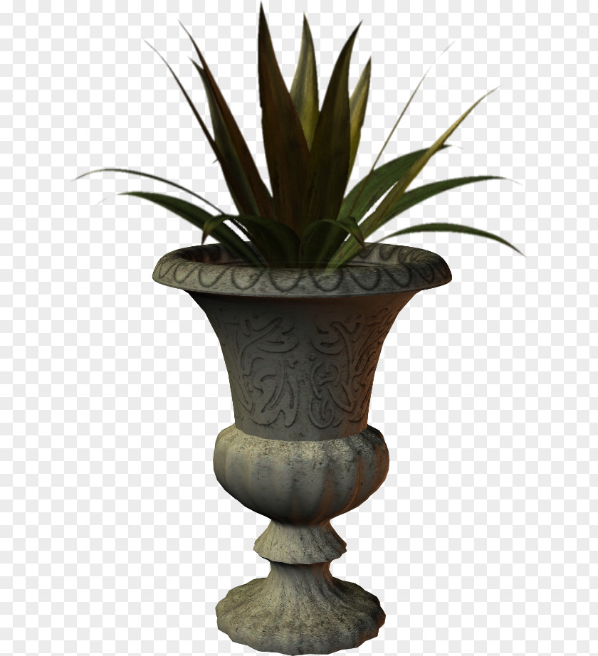 Vase Agave Urn INAV DBX MSCI AC WORLD SF Arecales PNG