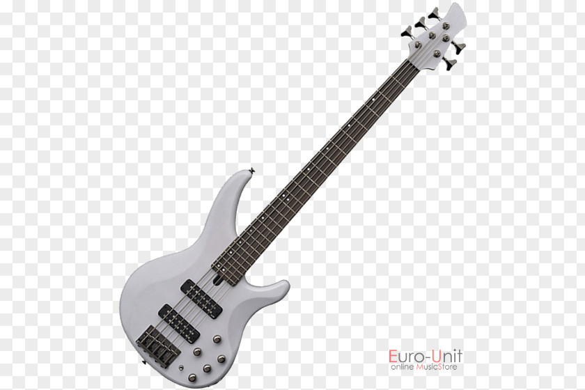 Bass Guitar String Instruments Electric PNG
