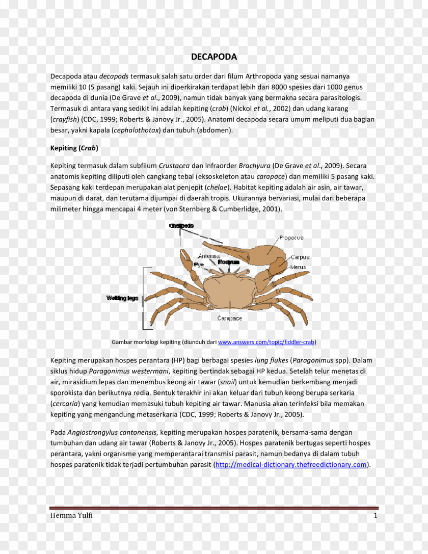 Crab Fiddler Animal PNG