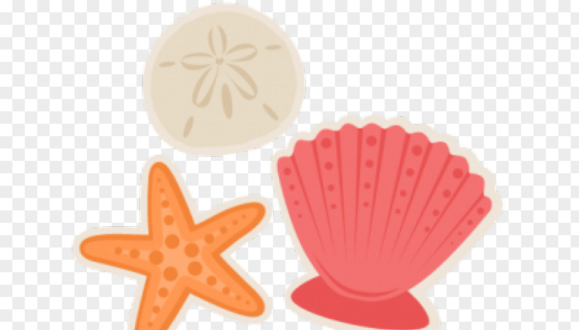 Decor Summer Sea Shells Clip Art Seashell PNG