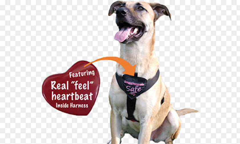 Dog Breed Harness Leash Puppy PNG breed harness Puppy, clipart PNG