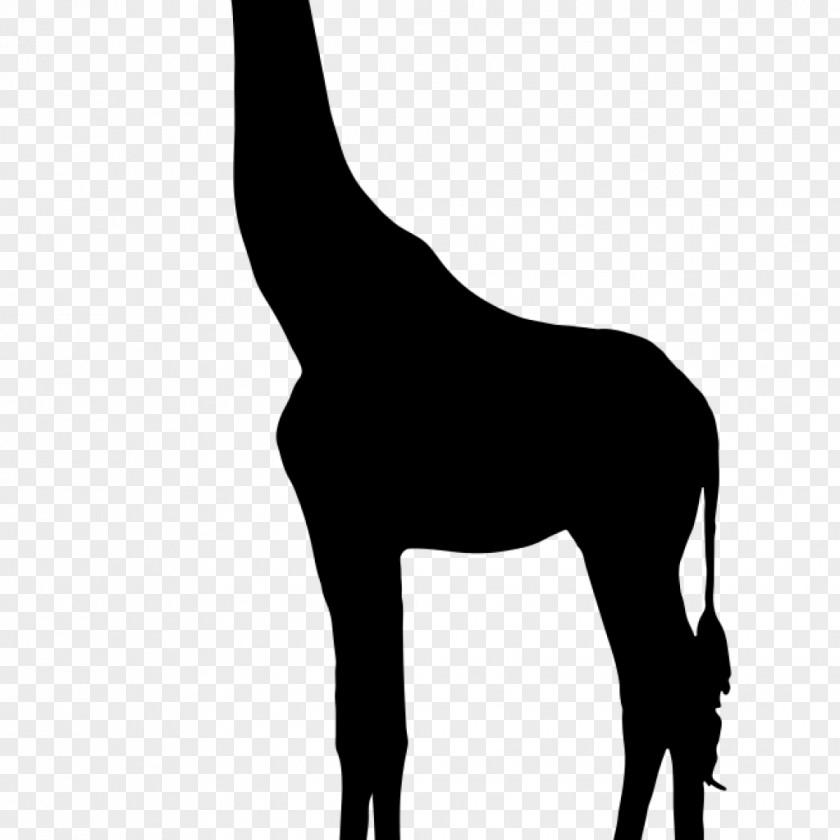 Giraffe Silhouette Mustang Clip Art PNG