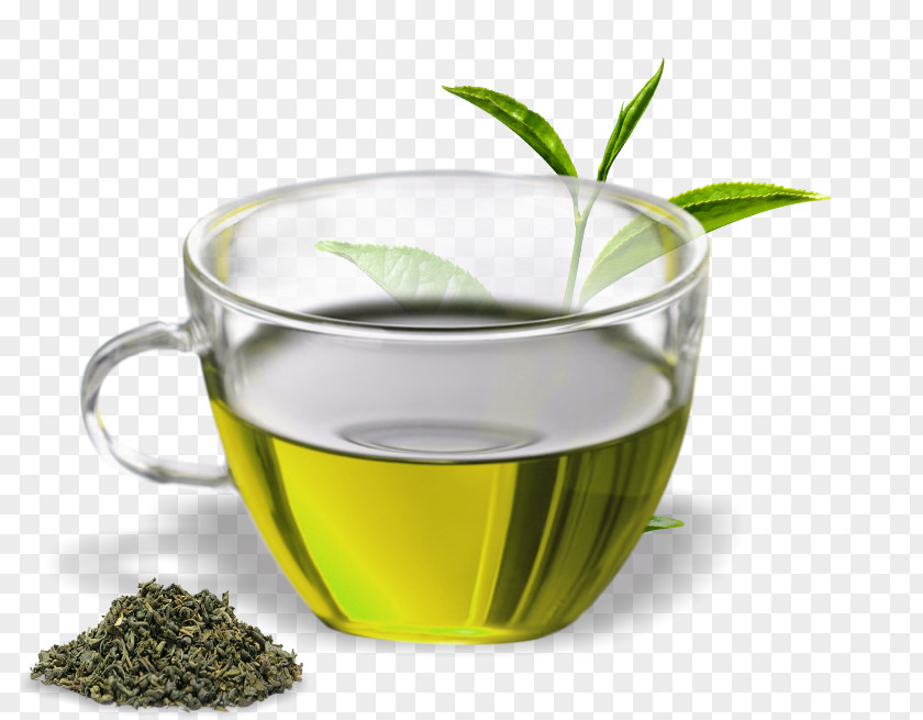 Green Tea Assam Oolong Herbal PNG