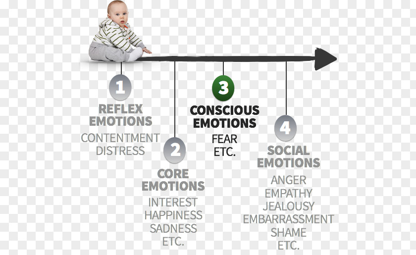 Marketing Self-conscious Emotions Consciousness Human Behavior PNG