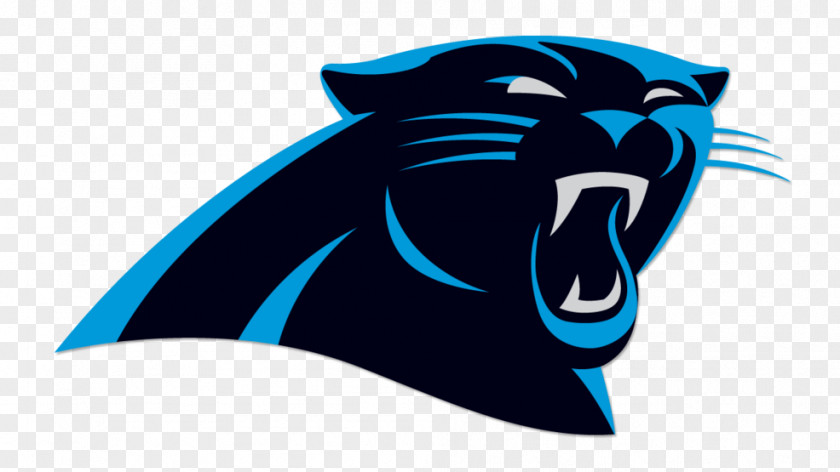 NFL 2012 Carolina Panthers Season Super Bowl Seattle Seahawks PNG