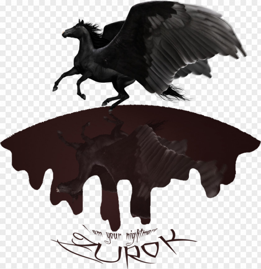Black Pegasus Bird Of Prey Beak PNG
