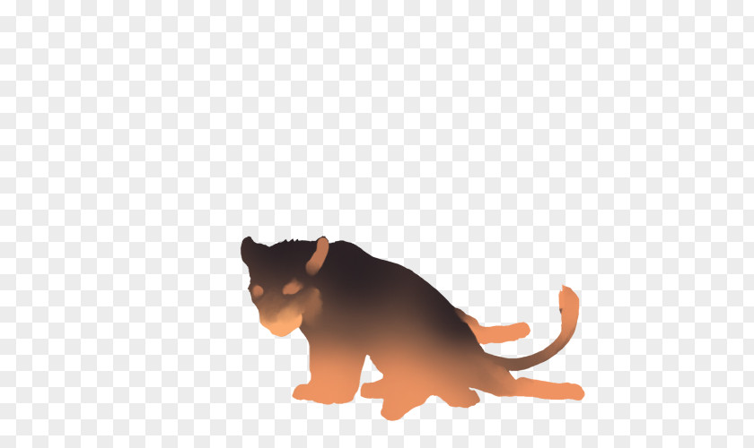 Cat Whiskers Felidae Lion Hyena PNG