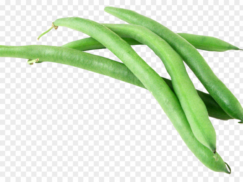 Coffee Vegetarian Cuisine Common Bean Green Baked Beans PNG