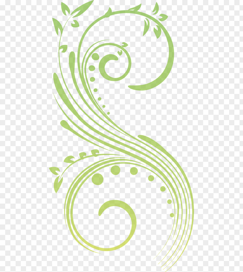 Design Ornament Scroll Floral PNG