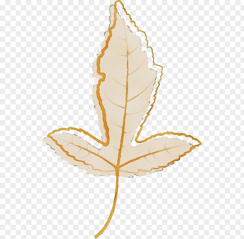 Leaf Tree Plant Science Structure PNG