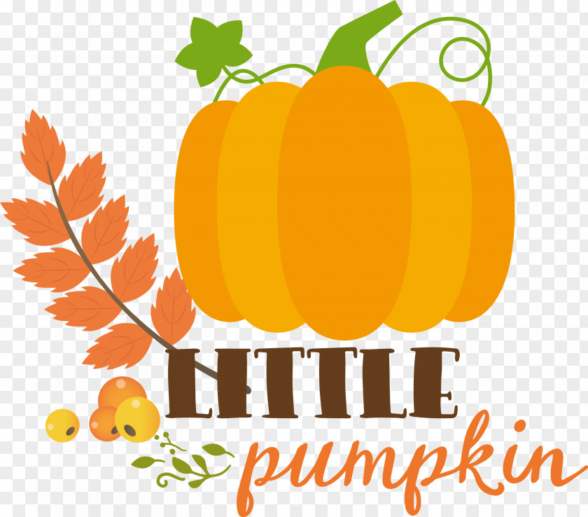 Little Pumpkin Thanksgiving Autumn PNG