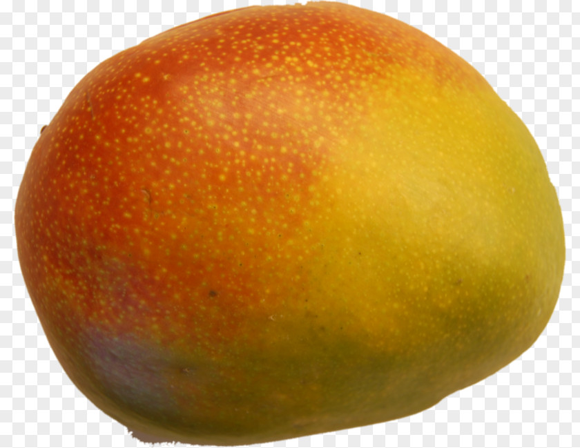 Mango Vinaigrette Lemon Recipe Mousse PNG