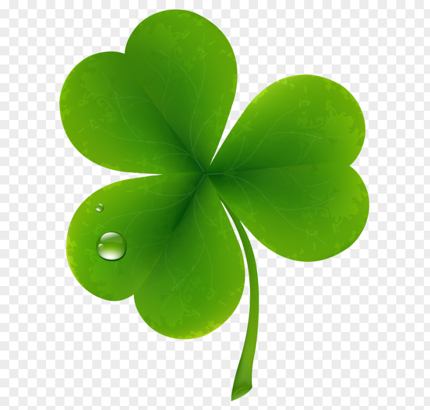 Saint Patrick Four-leaf Clover Clip Art PNG