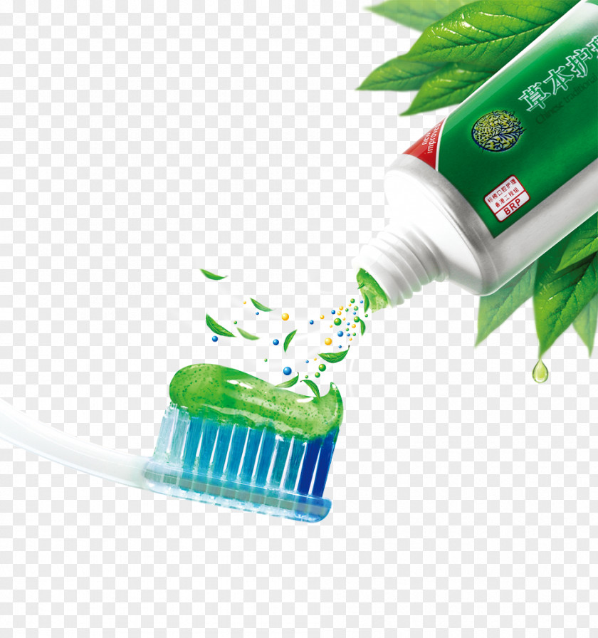 Toothpaste Dental Plaque Toothbrush PNG