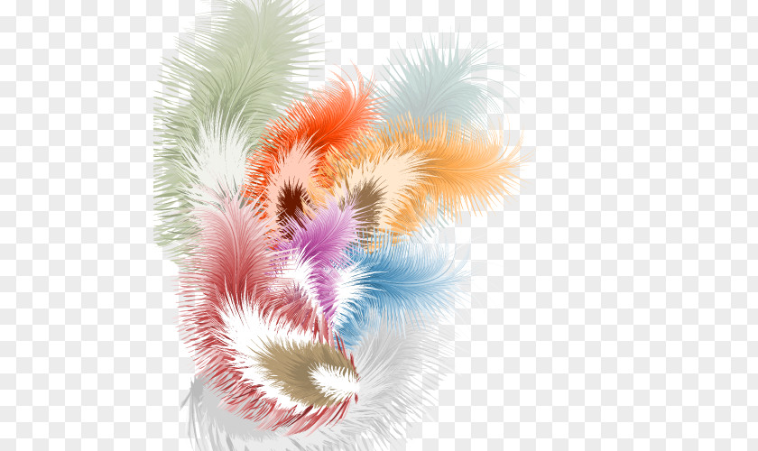 Colored Feathers Feather Royalty-free Illustration PNG