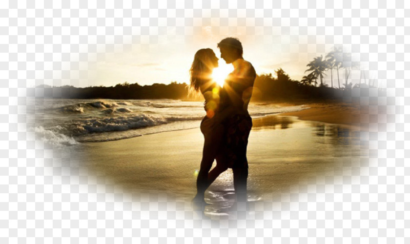 Falling In Love Intimate Relationship Romance Significant Other PNG