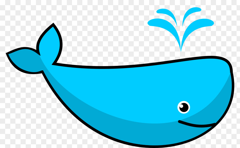 Fish Blue Whale Cartoon PNG