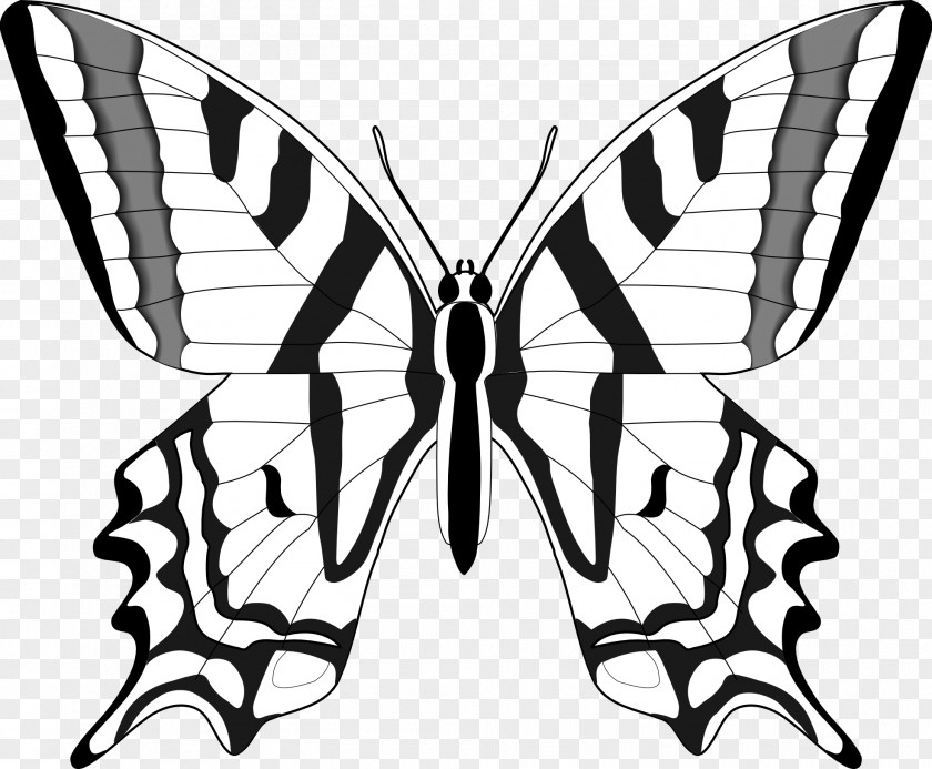 Kenzi Cliparts Monarch Butterfly Black And White Clip Art PNG