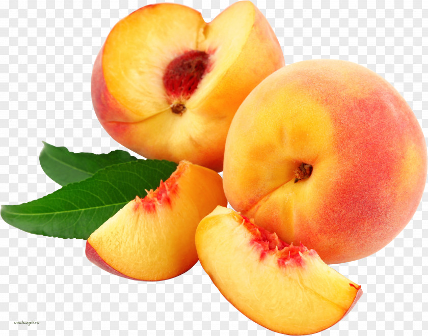 Peach Peaches And Cream Clip Art PNG