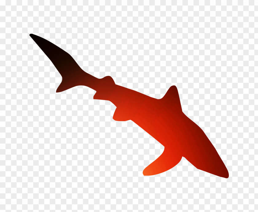 Shark Font Marine Mammal PNG