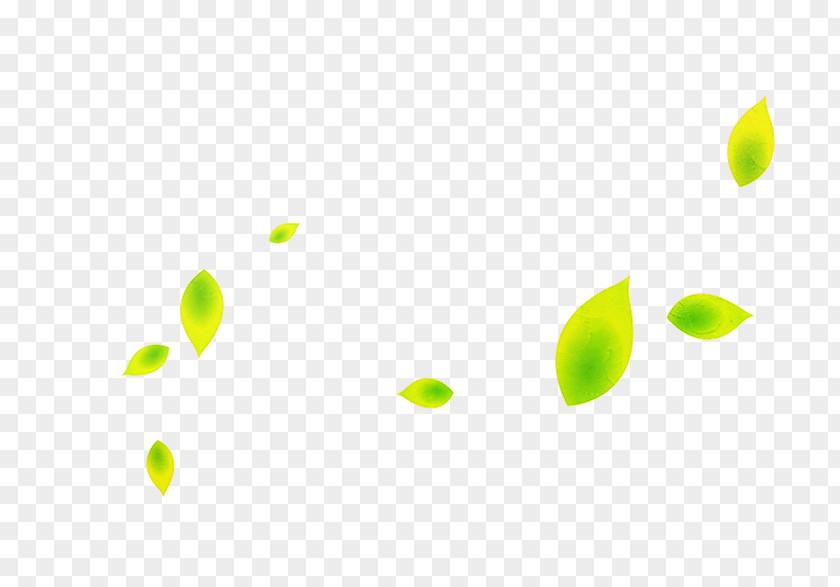 Falling Leaves Green Pattern PNG