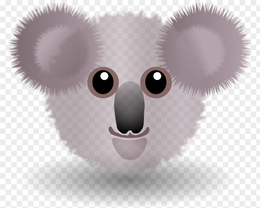Funny Cartoon Face Koala Clip Art PNG