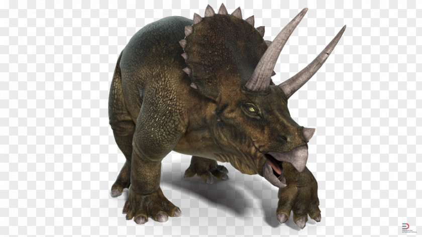 Triceratop Triceratops Horn Terrestrial Animal Snout Wildlife PNG
