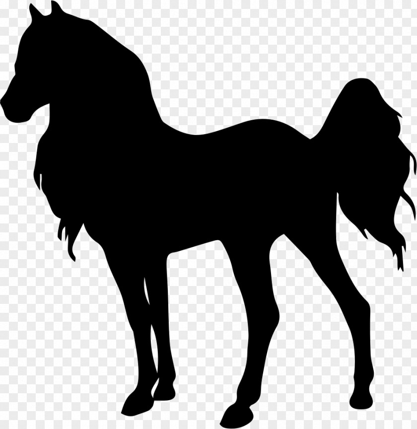 Horse Standing Silhouette PNG