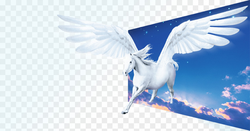 Pegasus The Interpretation Of Dreams By Duke Zhou PNG