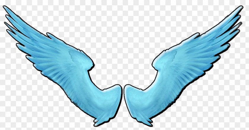 Angel Wing Shane Gray Clip Art PNG