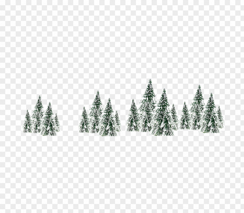 Christmas Tree Winter Snow Spruce PNG