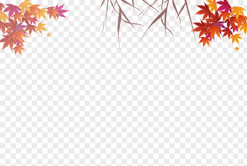 Colored Autumn Leaves Maple Leaf PNG