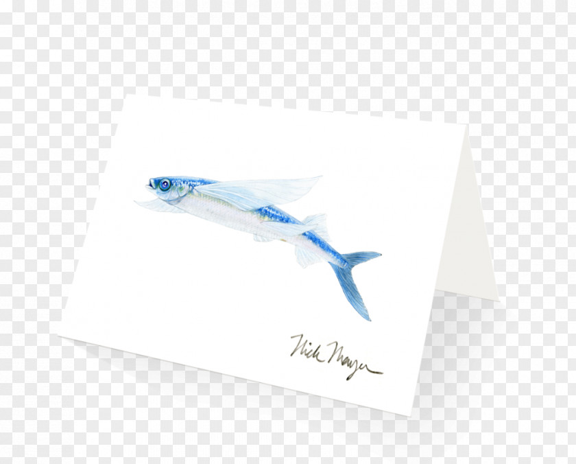 Flying Fish Blue California Paper United States Flight PNG