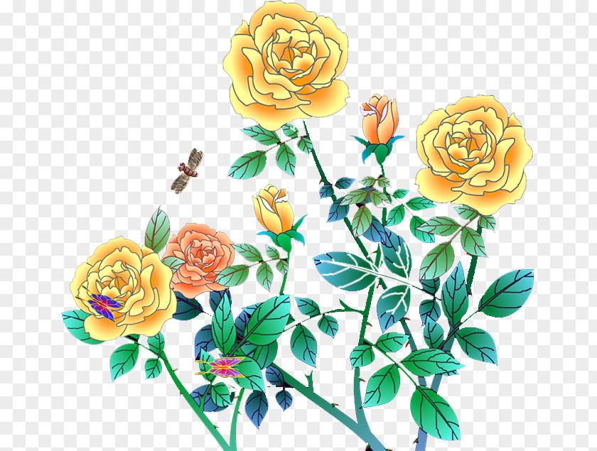 Peony Garden Roses Centifolia Beach Rose Clip Art PNG