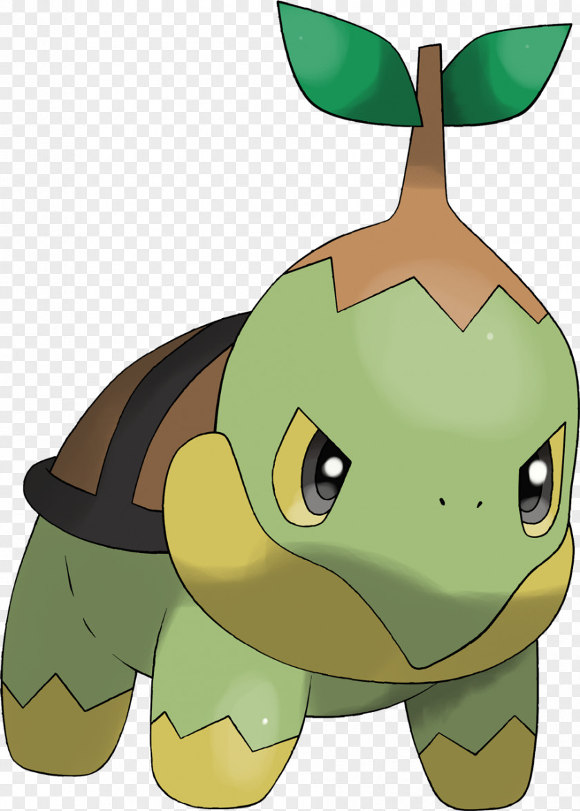 Pokemon Tortoise Turtwig Drawing Grotle Clip Art PNG