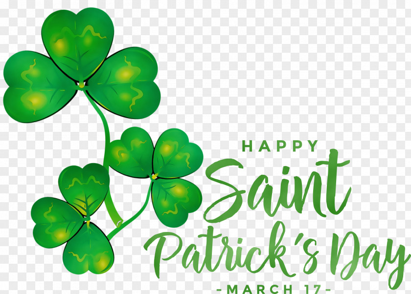 Shamrock PNG