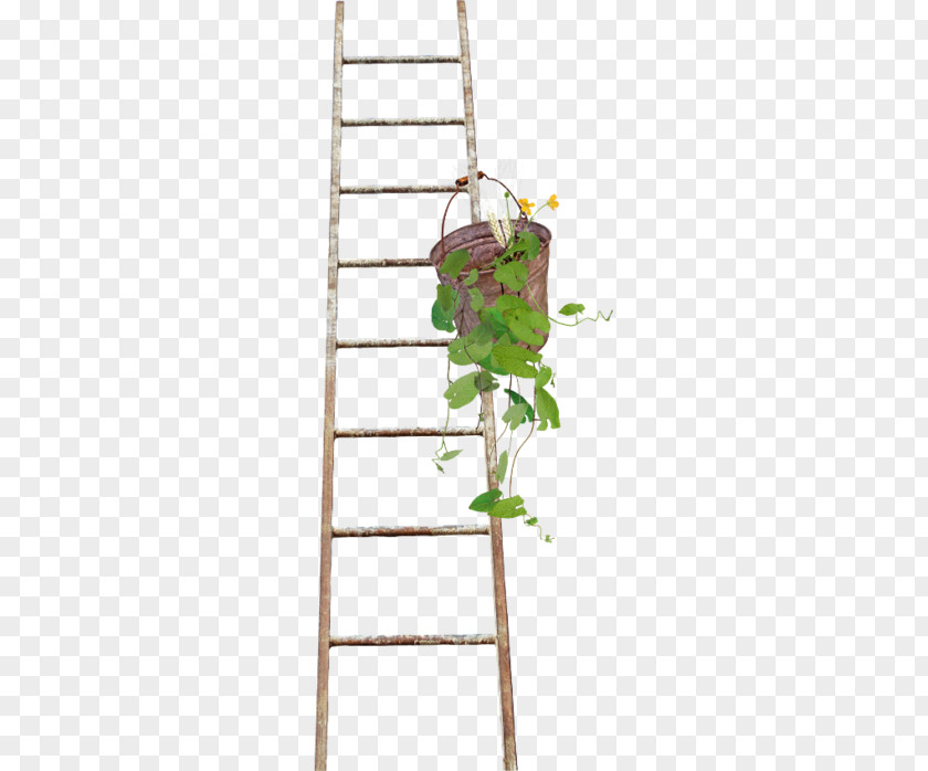 Wooden Ladder Wood Stairs Paper PNG