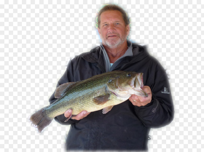 Fishing Tournament 09777 Trout Salmon Cod PNG