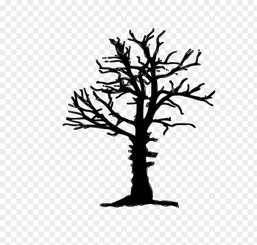 Pine Family Blackandwhite Tree Silhouette PNG