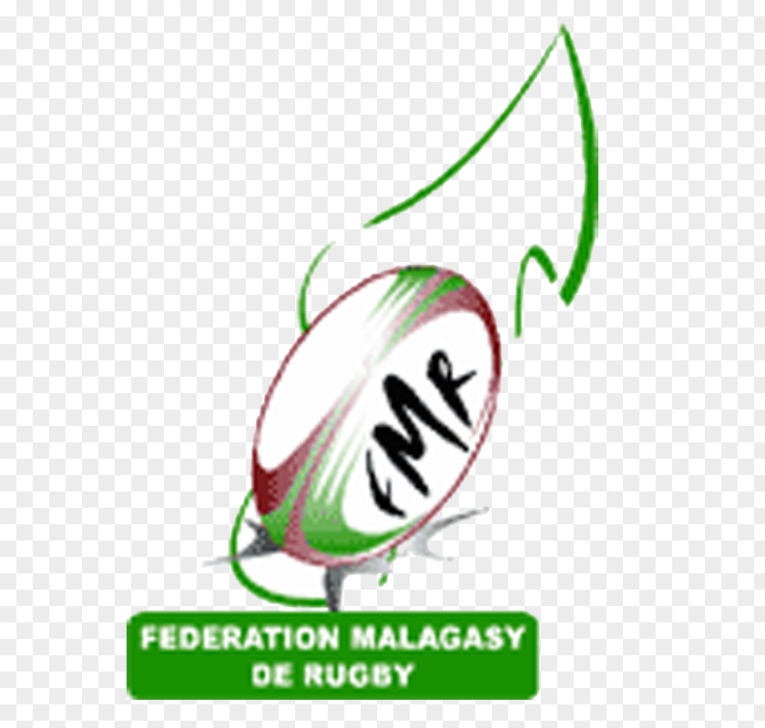 Ring Tailed Lemur Madagascar National Rugby Union Team Malagasy Football Federation Logo PNG