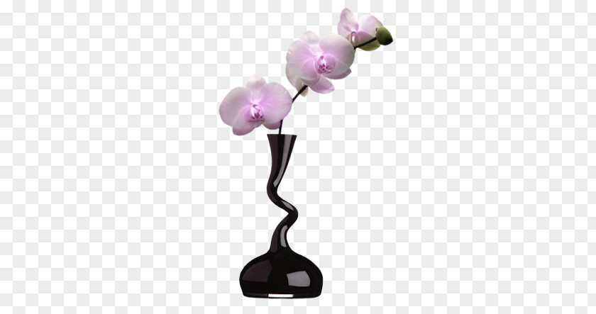 Vase Flower PNG