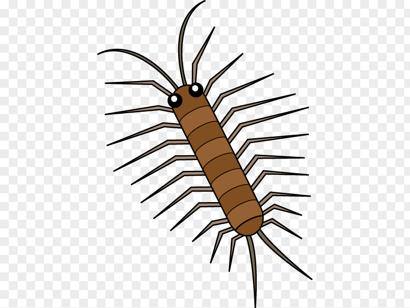 Centipedes Insect Clip Art House Illustration PNG