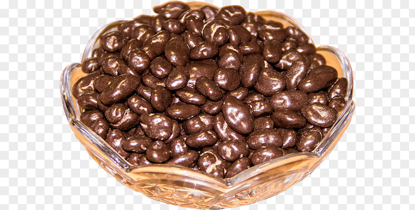 Chocolate Chocolate-coated Peanut Praline Vegetarian Cuisine PNG