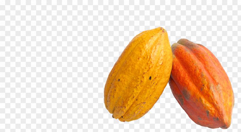 Chocolate Cocoa Bean Theobroma Cacao Solids PNG