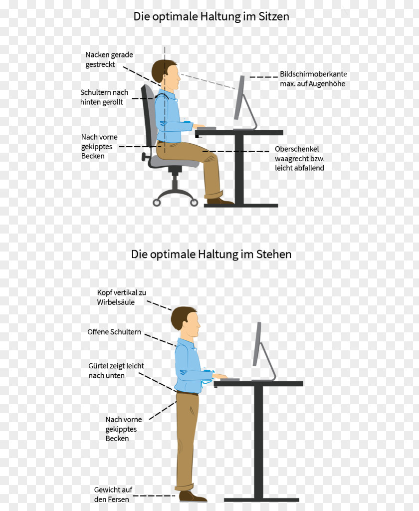Health Human Factors And Ergonomics Neutral Spine Sitting Pain In Office & Desk Chairs PNG