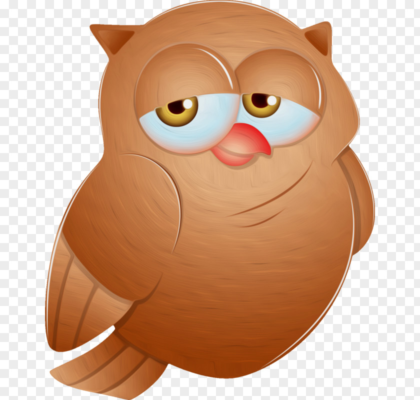 Owl Bird Cartoon PNG