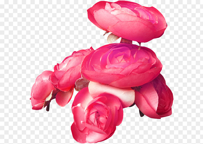 Rose Garden Roses Blue Pink PNG